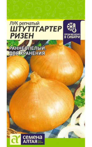 Лук Штуттгартер ризен раннеспел. (СА) ц/п