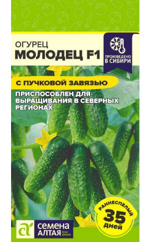 Огурец Молодец F1 (СА) ц/п Огурец Молодец F1 (СА) ц/п