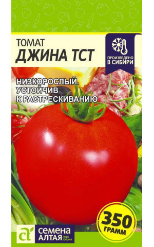 Томат Джина ТСТ (СА) ц/п
