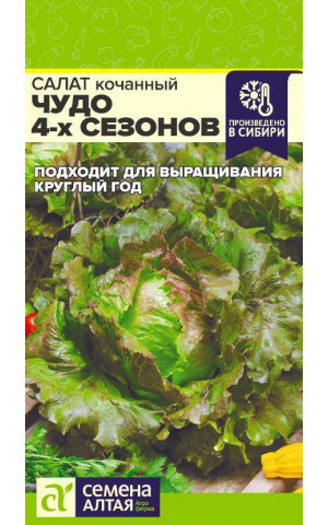 Салат Чудо Четырех сезонов (СА) ц/п