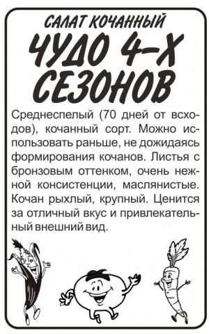 Салат Чудо Четырех сезонов (СА) б/п