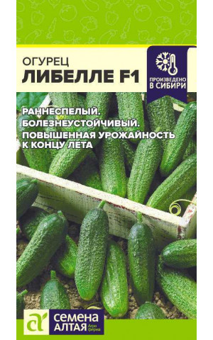 Огурец Либелле F1 (СА) ц/п Огурец Либелле F1 (СА) ц/п