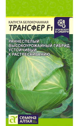 Капуста Трансфер F1 (СА) ц/п