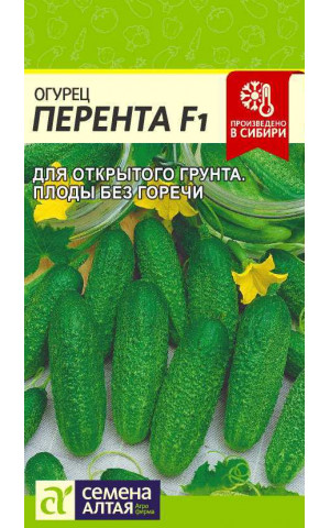 Огурец Перента F1 (СА) ц/п Огурец Перента F1 (СА) ц/п