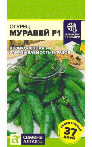 Огурец Муравей партен. F1 (СА) ц/п Огурец Муравей партен. F1 (СА) ц/п