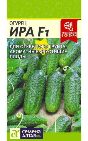 Огурец Ира F1 пчел (СА) ц/п