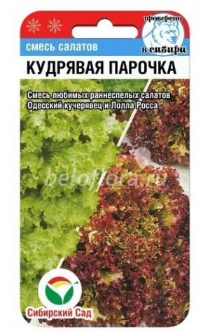 Салат Кудрявая парочка (Сибсад) цп