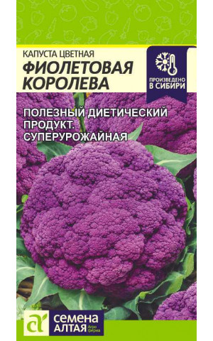 Капуста цвет. Фиолетовая Королева (СА) цп
