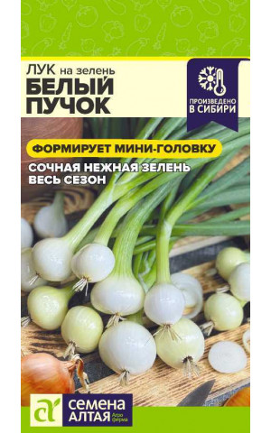 Лук на зелень Белый Пучок (СА) ц/п