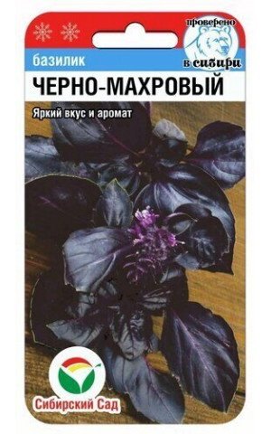 Базилик Черно махровый (Сибсад) цп
