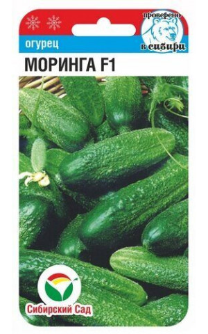 Огурец Моринга F1 7шт (Сибсад) ц/п Огурец Моринга F1 7шт (Сибсад) ц/п