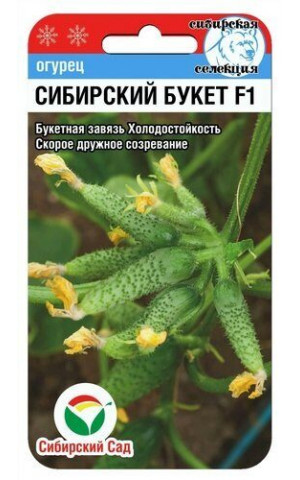 Огурец Сибирский букет F1 (Сибсад) ц/п