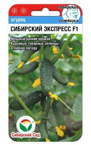 Огурец Сибирский экспресс F1 (Сибсад) ц/п