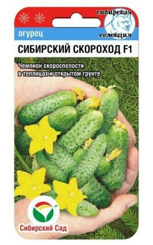 Огурец Сибирский скороход F1 (Сибсад) ц/п