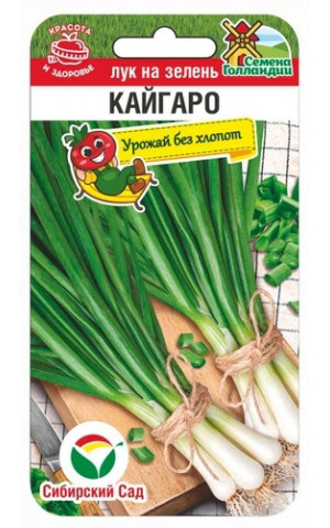 Лук на зелень Кайгаро 100 шт (Сибсад) ц/п