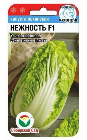 Капуста пекин. Нежность F1 (Сибсад) цп