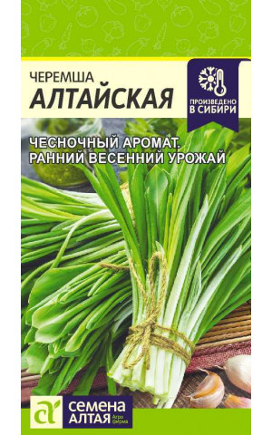 лук Черемша Алтайская (СА) ц/п