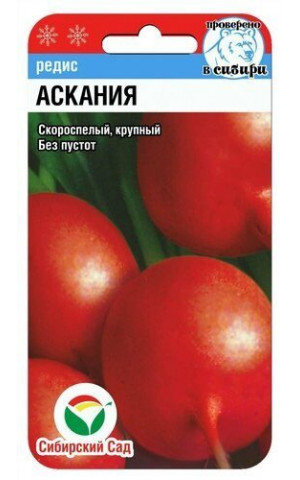 Редис Аскания (Сибсад) ц/п