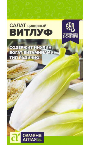 Салат цикорный Витлуф (СА) цп