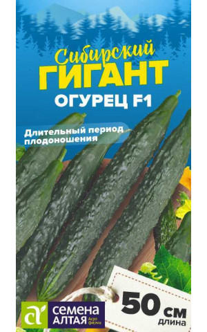 Огурец Сибирский Гигант F1 (СА) цп