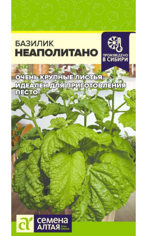 Базилик Неаполитано (СА) цп