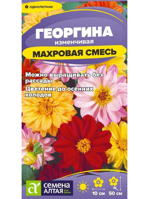 Георгина Махровая смесь (СА) ц/п