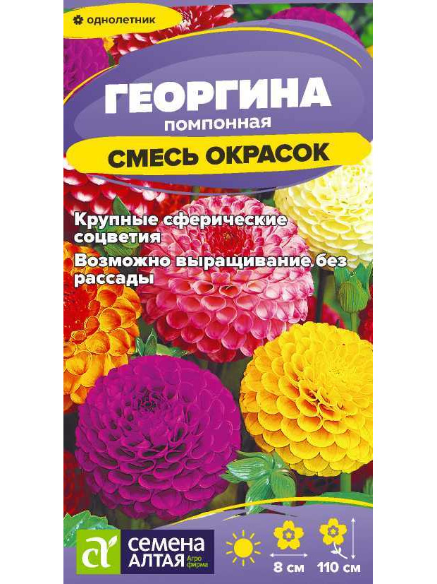 Георгина Помпонная смесь (СА) ц/п