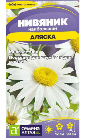 Нивянник Аляска (СА) ц/п