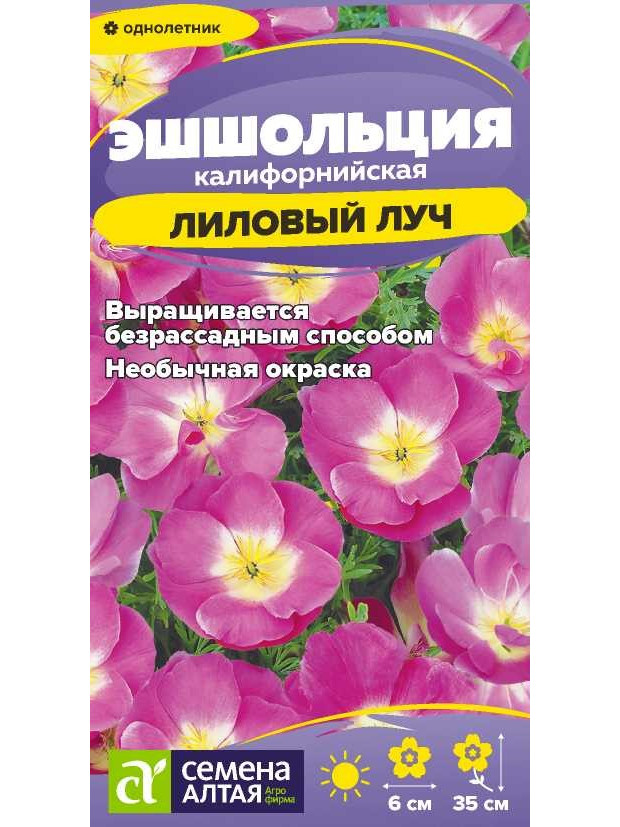 Эшшольция Лиловый Луч (СА) ц/п