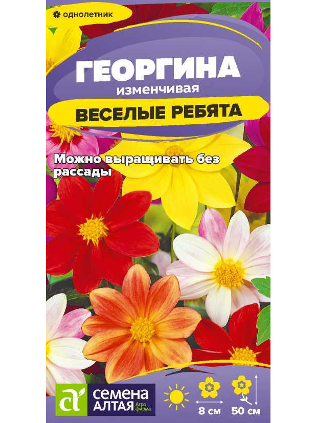 Георгина Веселые Ребята смесь (СА) ц/п