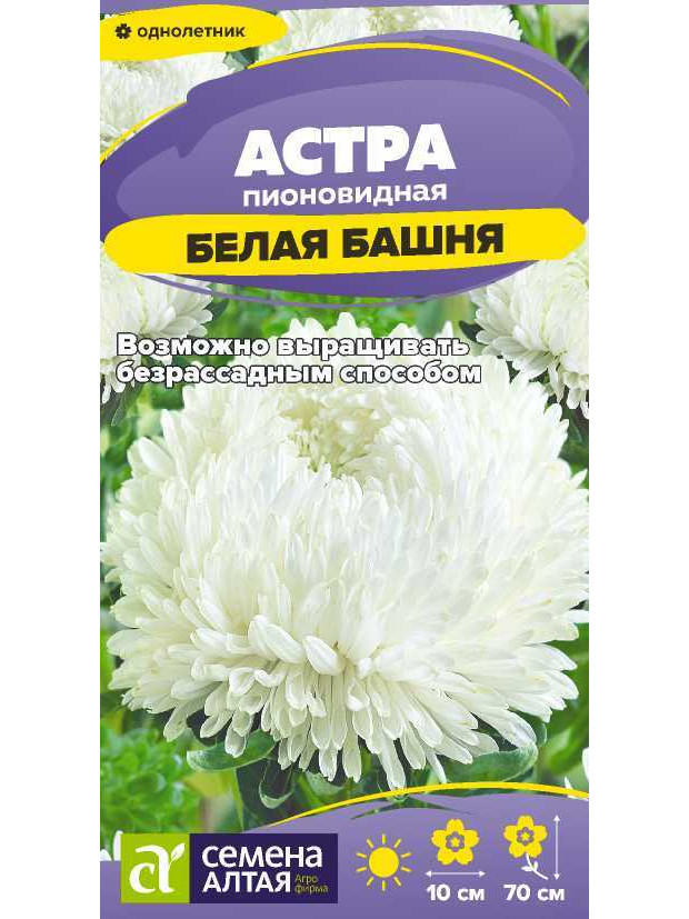 Астра Белая башня пионовидная (СА) ц/п