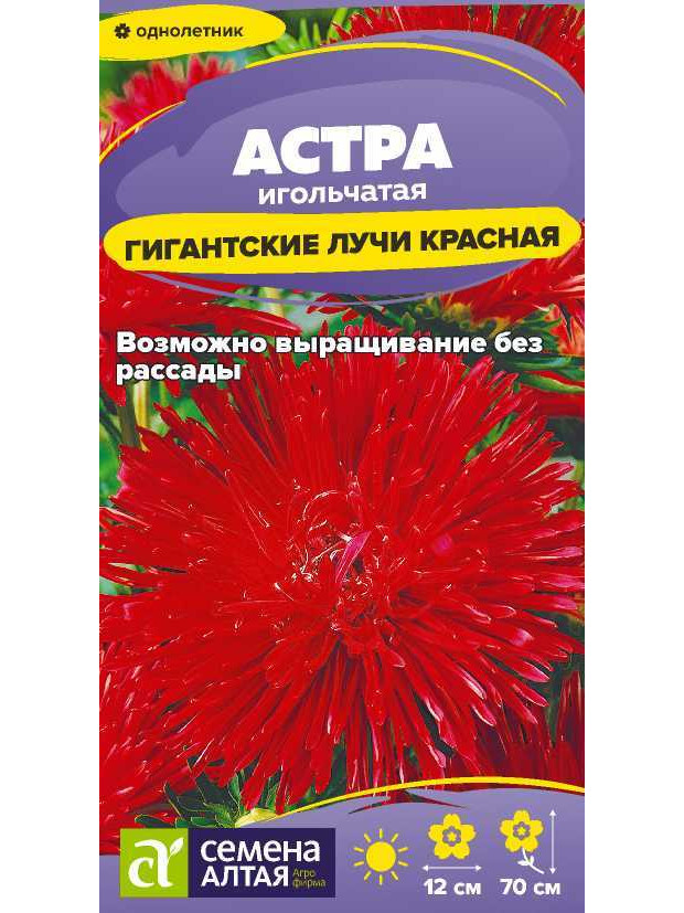 Астра Гигантские лучи Красная (СА) ц/п