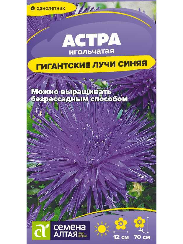 Астра Гигантские лучи Синяя (СА) ц/п