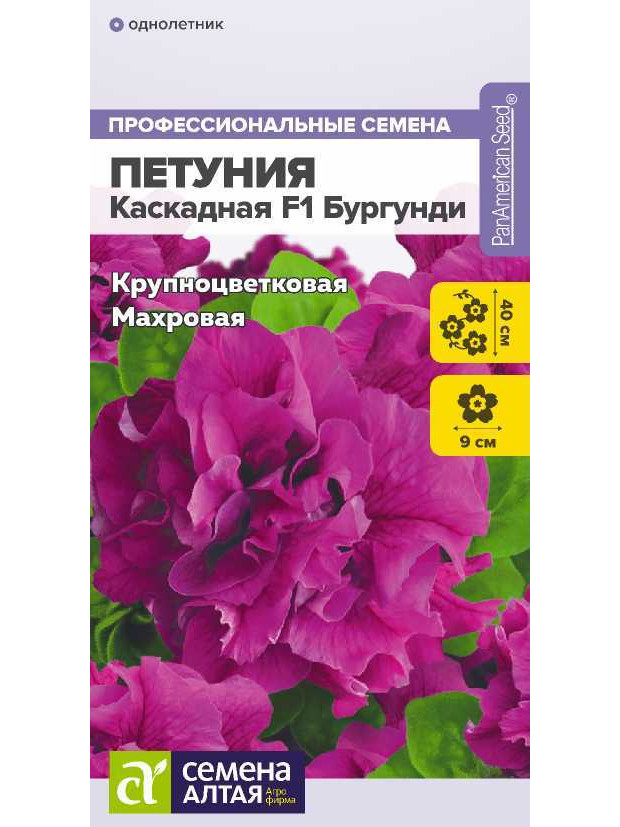Петуния Каскадная Бургунди махр. F1 (СА) ц/п
