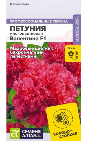 Петуния Валентина махр. F1 (СА) ц/п