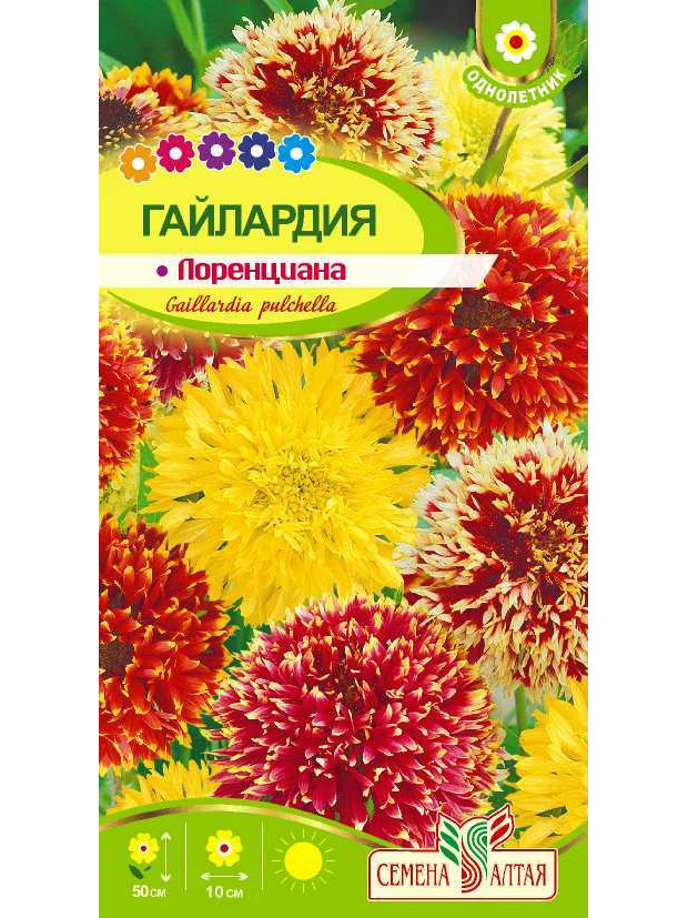 Гайлардия Лоренциана (СА) ц/п