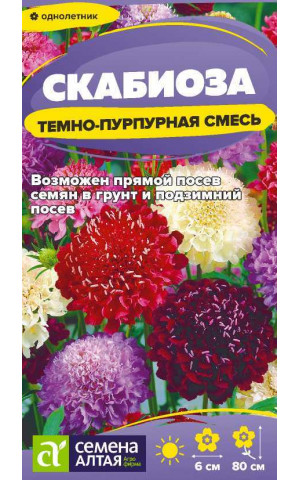 Скабиоза Темно-Пурпурная (СА) ц/п
