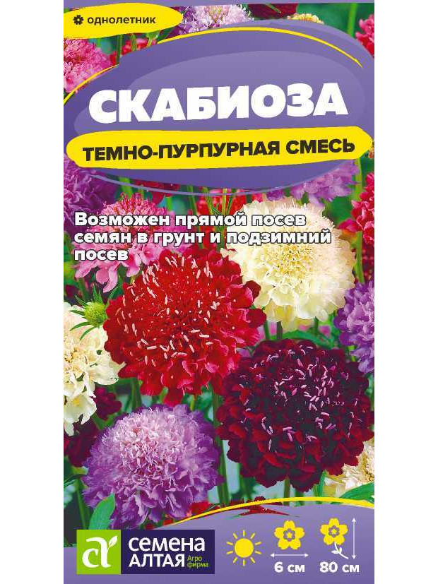 Скабиоза Темно-Пурпурная (СА) ц/п
