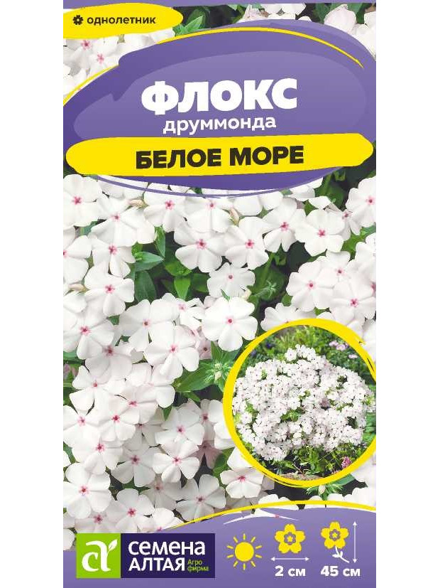 Флокс Белое Море Друммонда (СА) ц/п