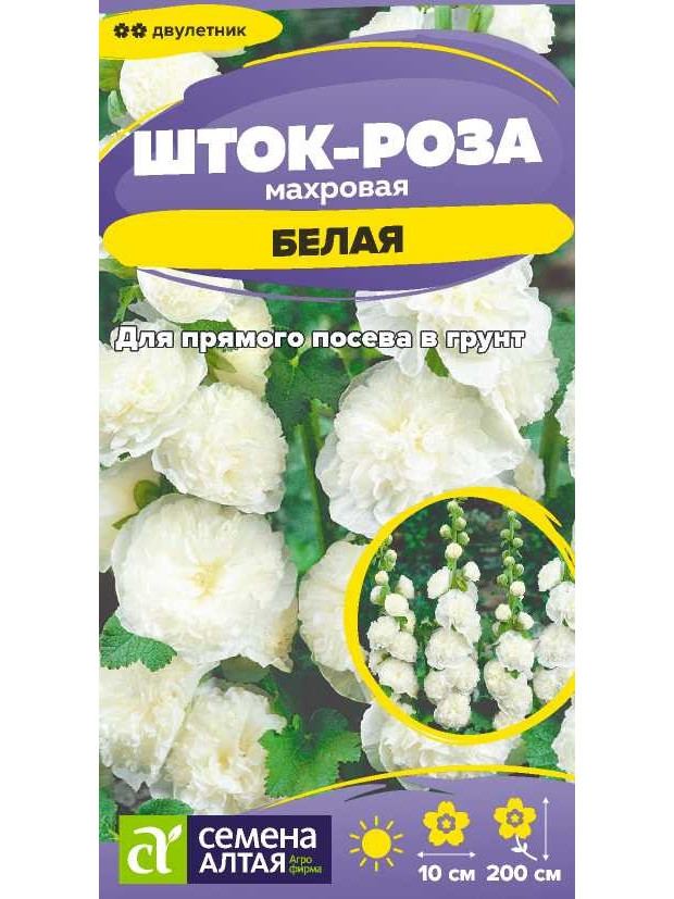 Шток-роза Белая (СА) ц/п