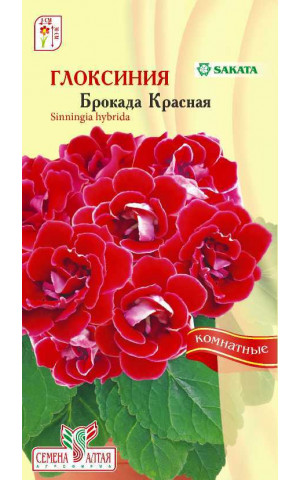 Глоксиния Брокада Красная F1 (комн.) (СА) ц/п