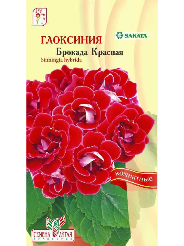 Глоксиния Брокада Красная F1 (комн.) (СА) ц/п