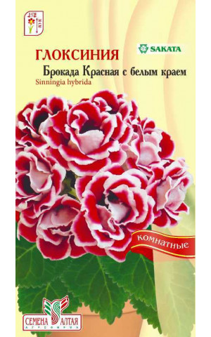 Глоксиния Брокада Красная с бел.краем(комн)(СА)цп