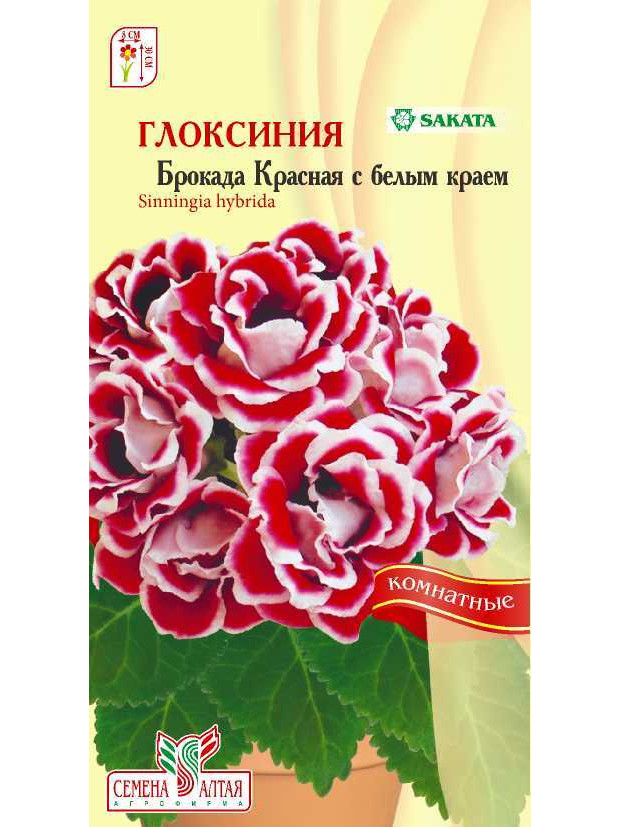 Глоксиния Брокада Красная с бел.краем(комн)(СА)цп