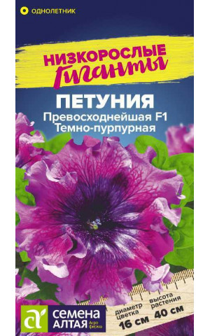 Петуния Превосходнейшая Темно-пурпурная (СА) ц/п