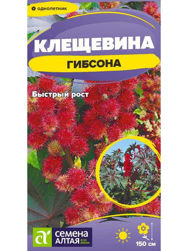 Клещевина Гибсона (СА) ц/п
