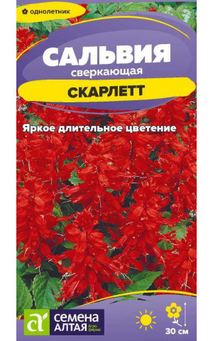 Сальвия Скарлет сверкающая (СА) ц/п