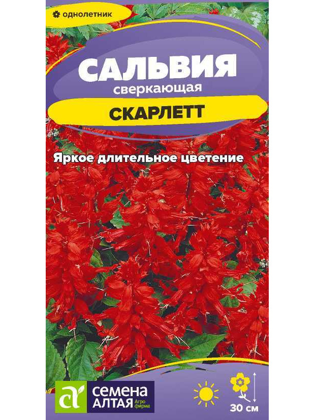 Сальвия Скарлет сверкающая (СА) ц/п