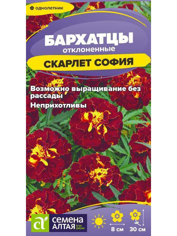 Бархатцы Скарлет София махр. (СА) ц/п