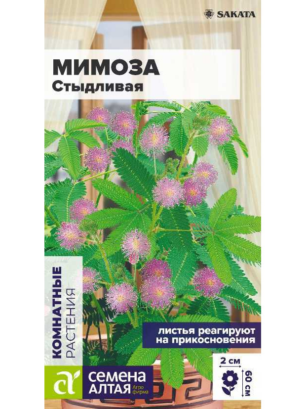 Мимоза Стыдливая (комн)(СА) ц/п